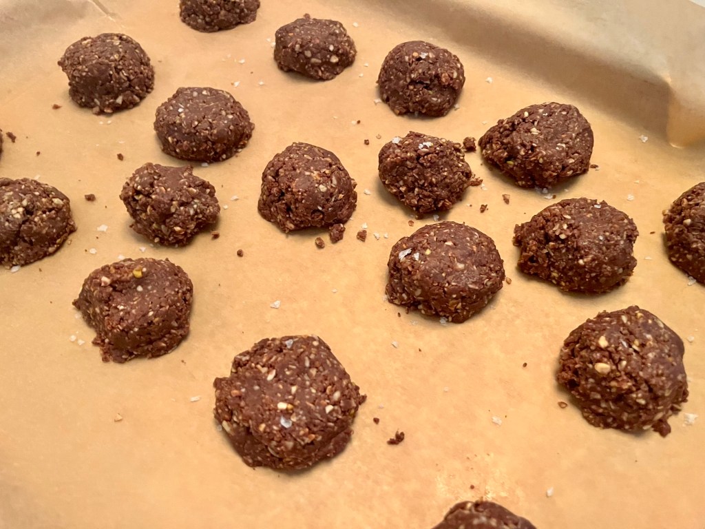 Chocolate oatmeal cookies